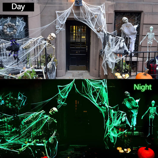 Glow-in-the-Dark Spider Web