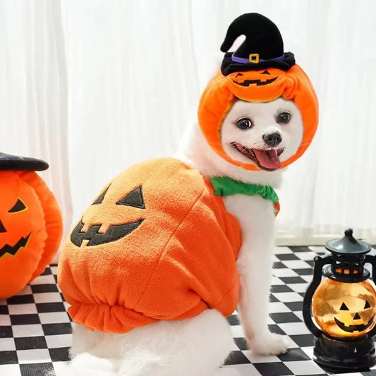 Jack-o'-Lantern Pet Costume