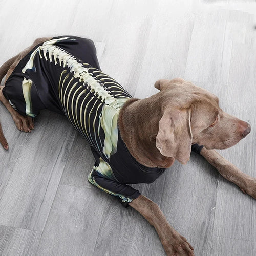 Skeleton Walker Dog Costume