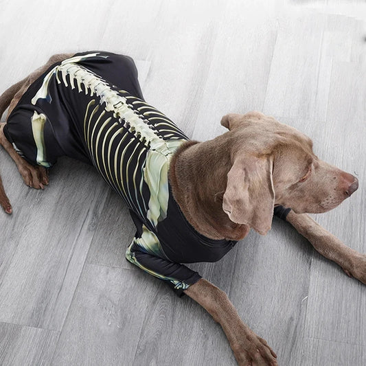 Skeleton Walker Dog Costume