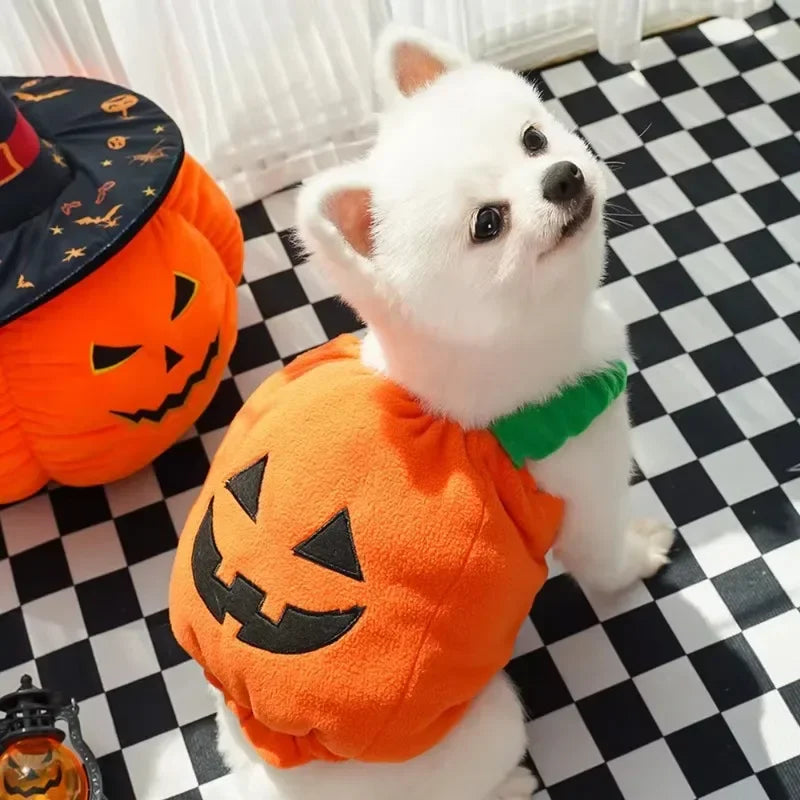 Jack-o'-Lantern Pet Costume