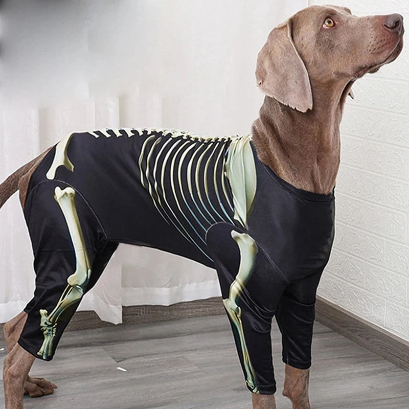 Skeleton Walker Dog Costume