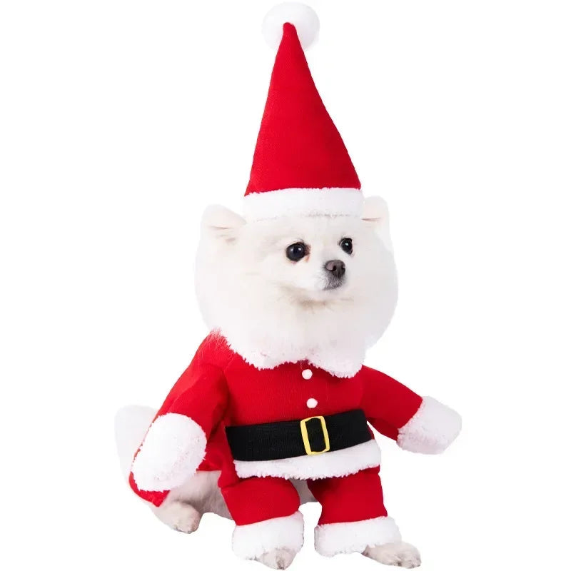 Monster Mash Pet Costumes (14 styles)