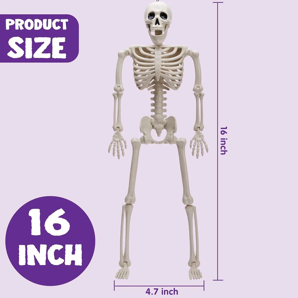 Bone Crew Skeletons (5-Pack)