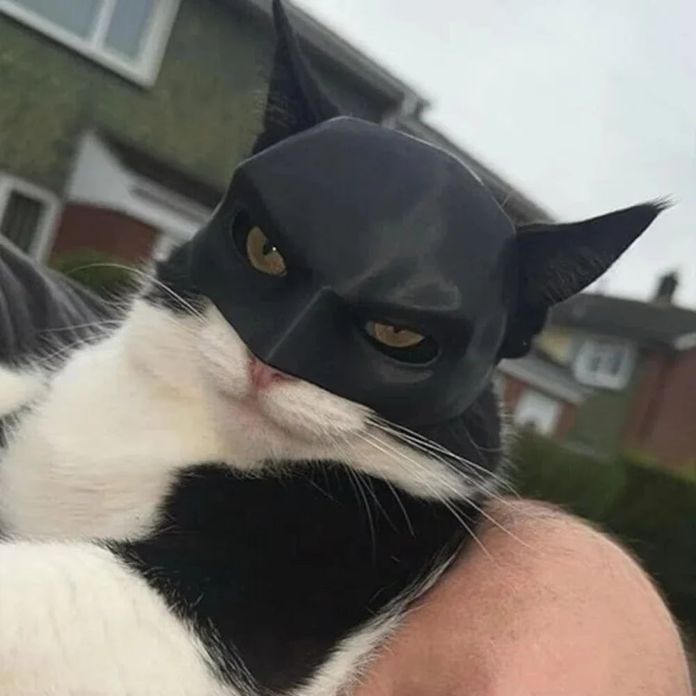 Bat Wings Cat Costume