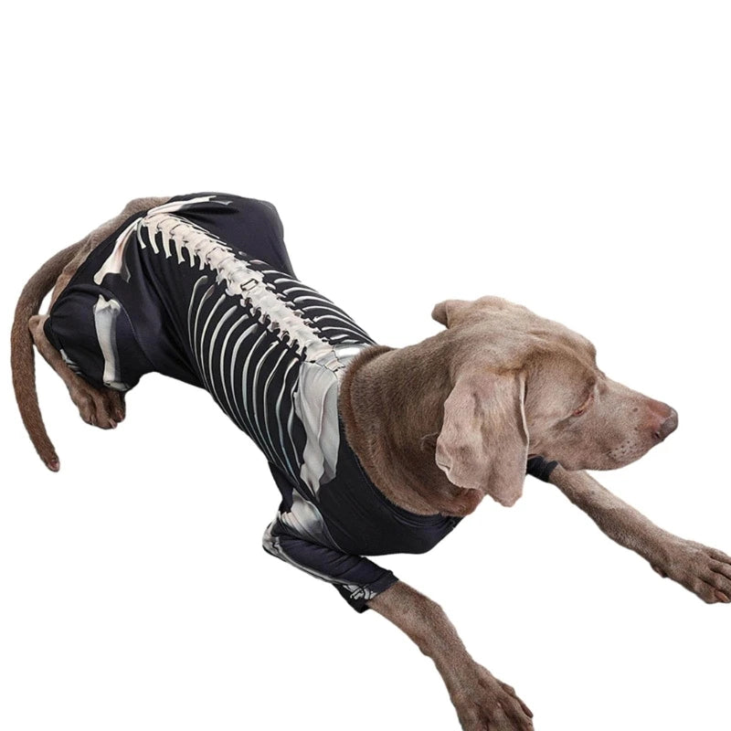 Skeleton Hoodie for Big Dogs