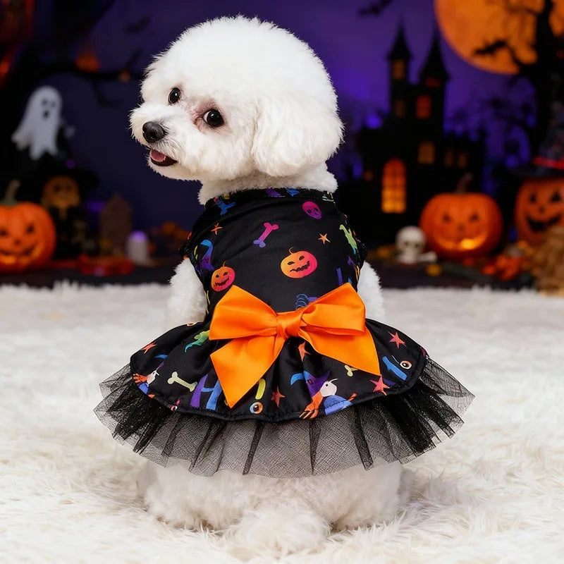Little Witch Pet Cape & Hat