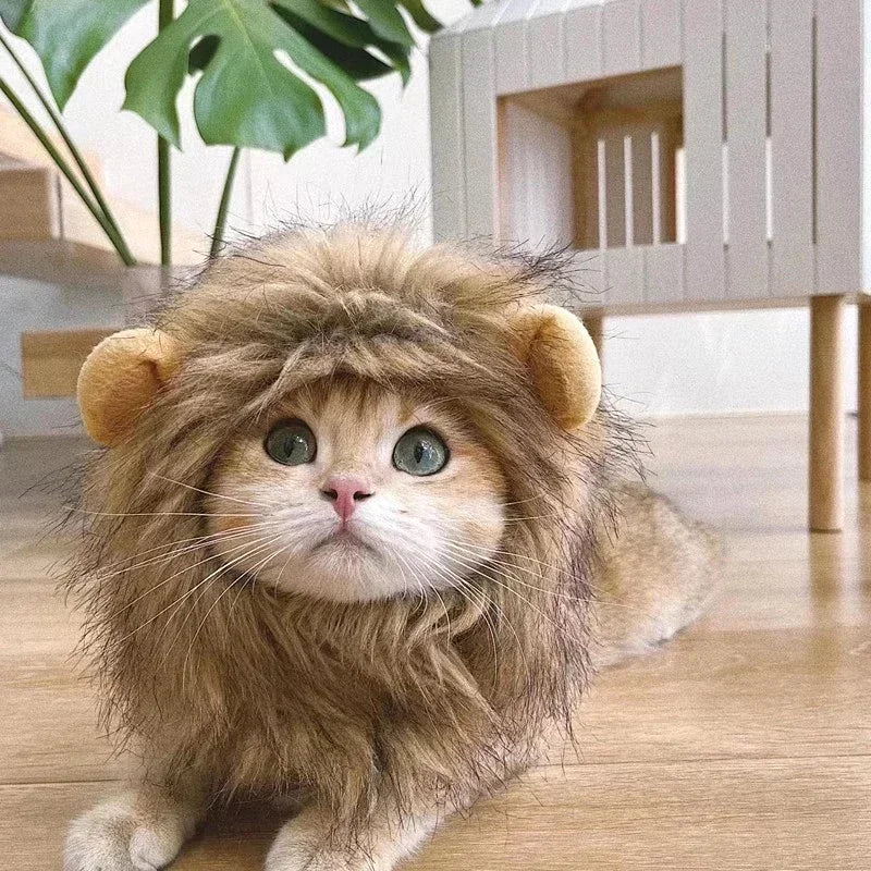 Lion Mane Cat Costume