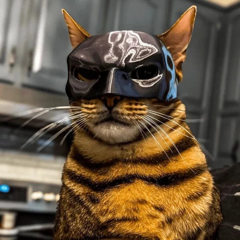 Bat Wings Cat Costume
