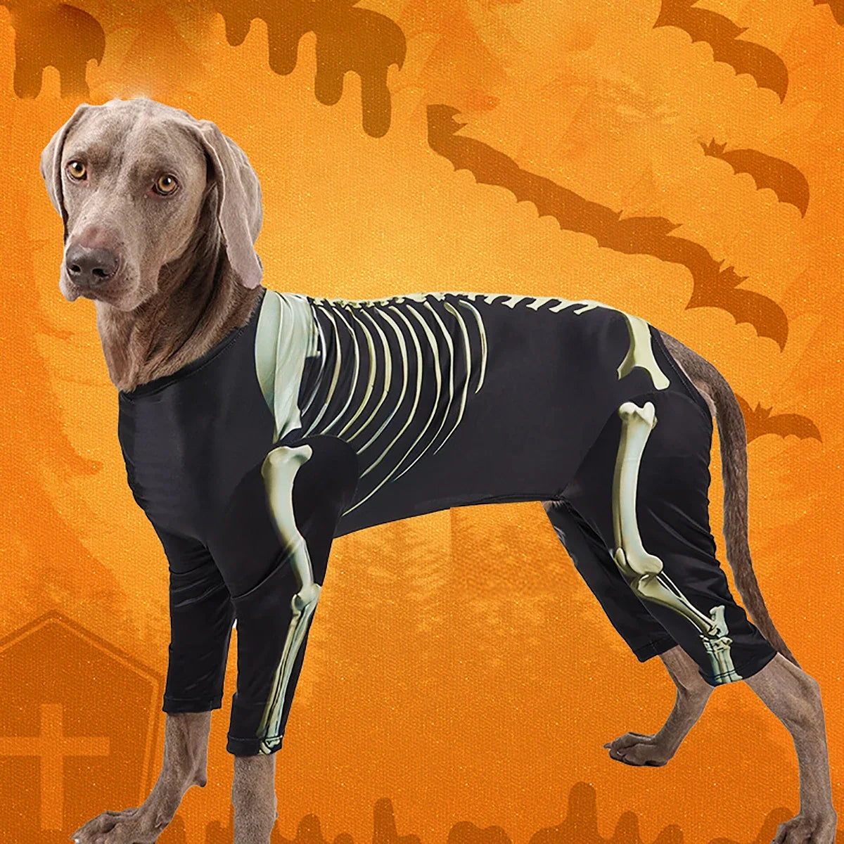 Skeleton Walker Dog Costume