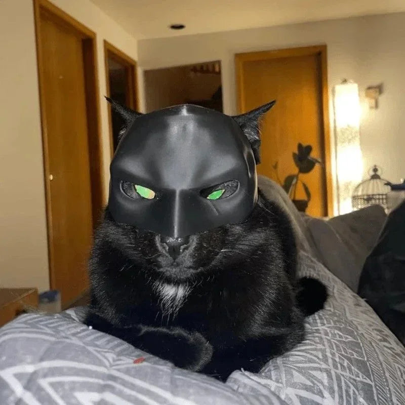 Bat Wings Cat Costume