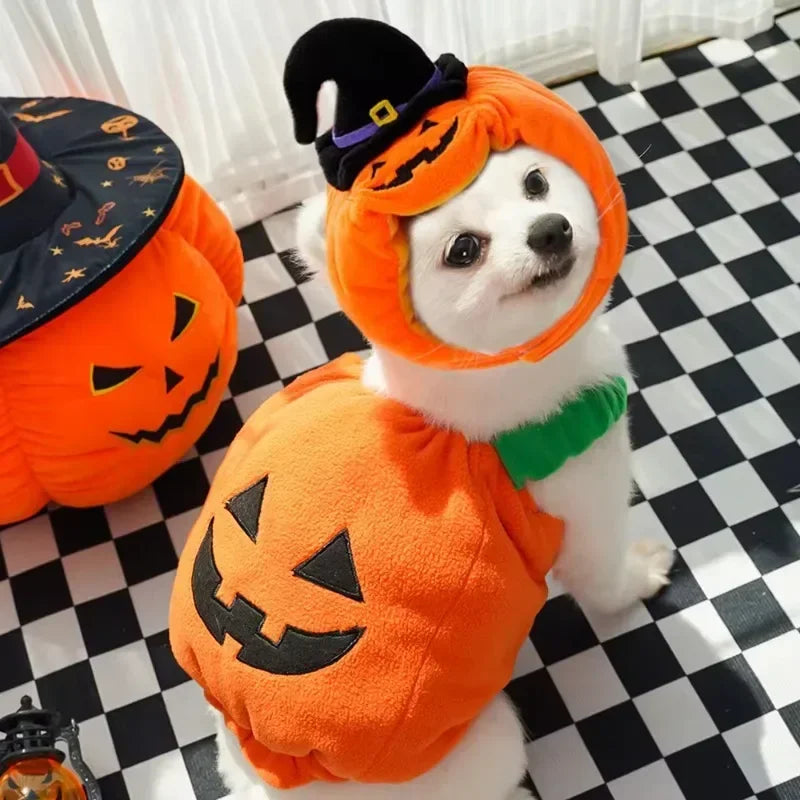 Jack-o'-Lantern Pet Costume