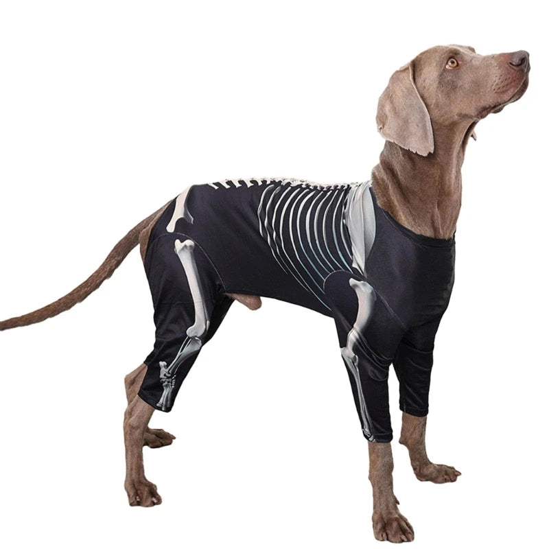 Skeleton Hoodie for Big Dogs