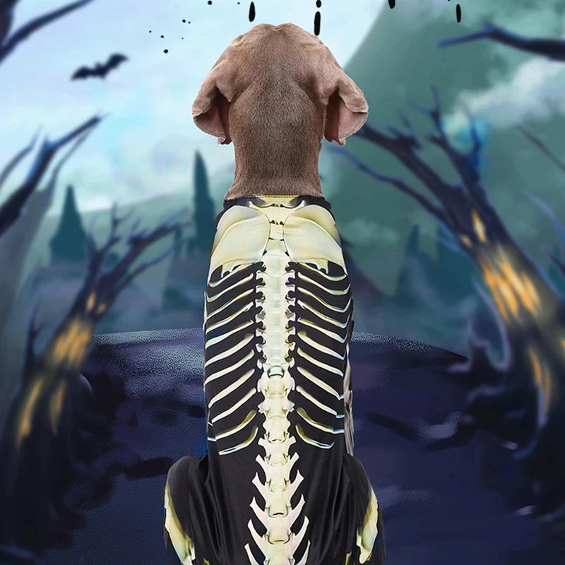 Skeleton Walker Dog Costume