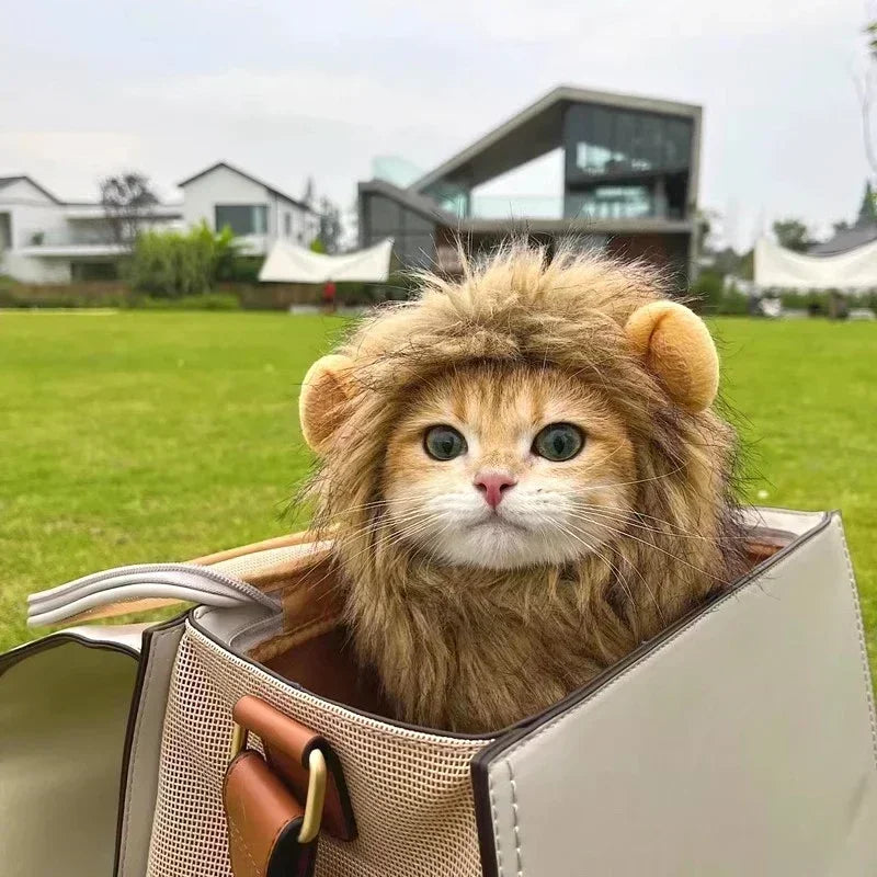 Lion Mane Cat Costume