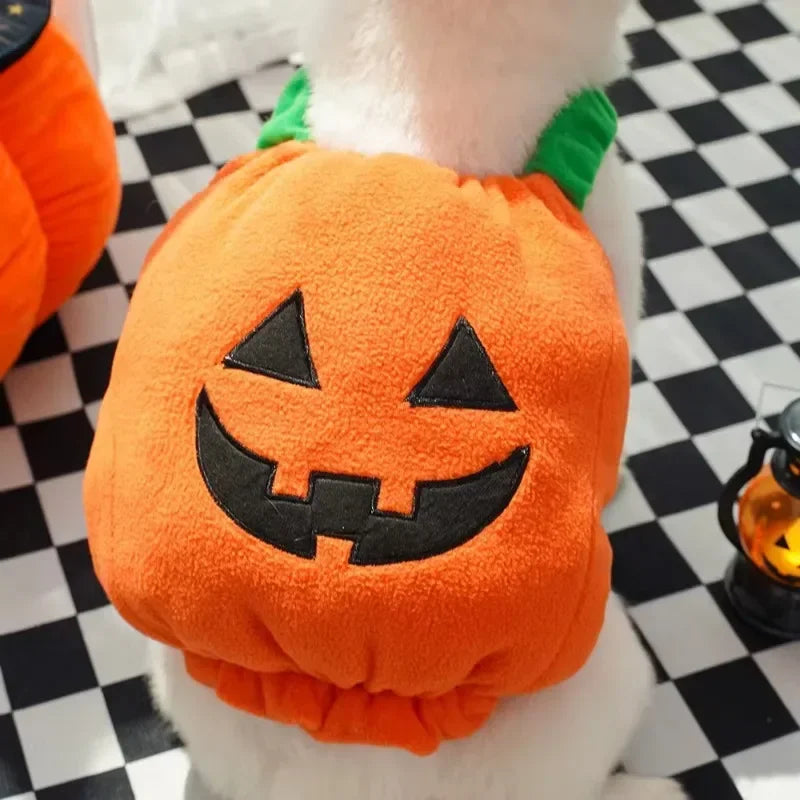 Jack-o'-Lantern Pet Costume