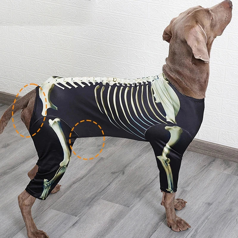 Skeleton Walker Dog Costume