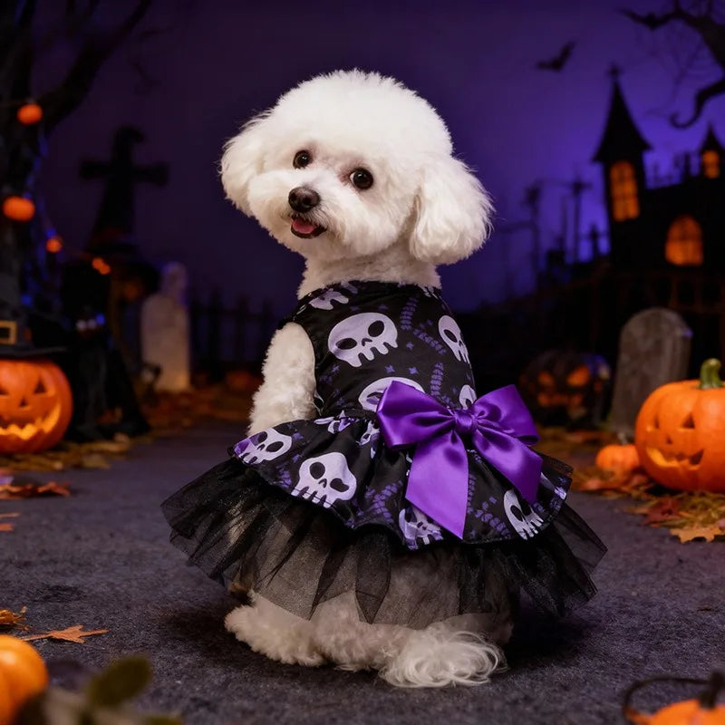 Little Witch Pet Cape & Hat