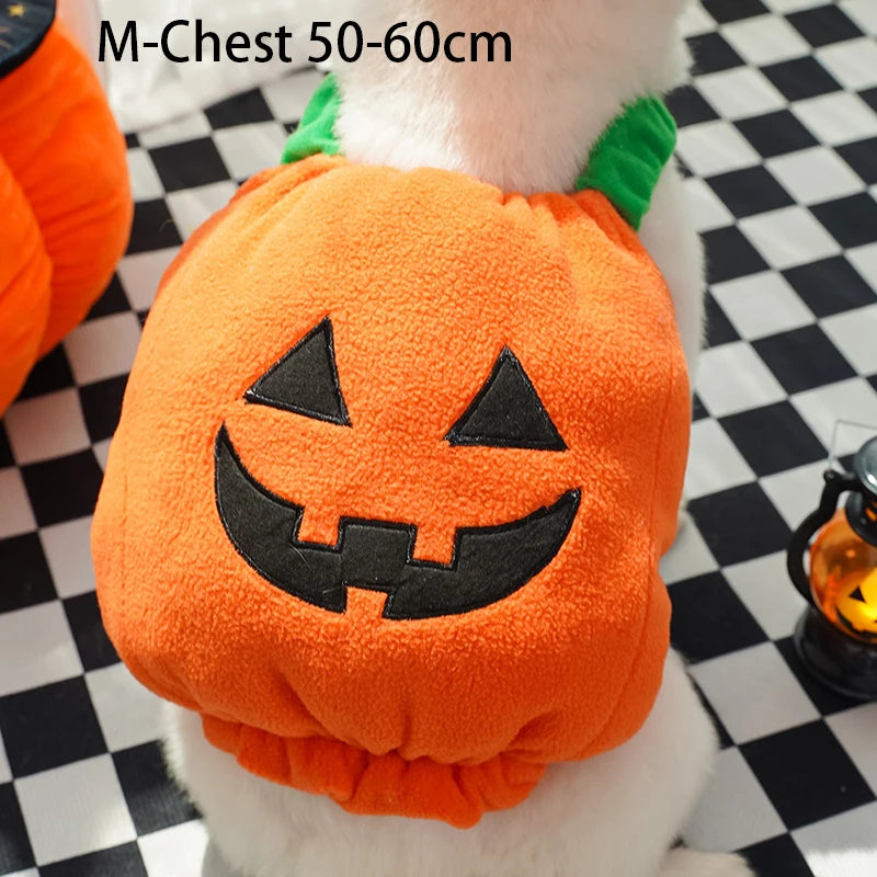 Jack-o'-Lantern Pet Costume